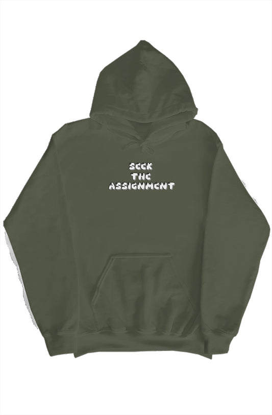 SEEK THE ASSIGNMENT 